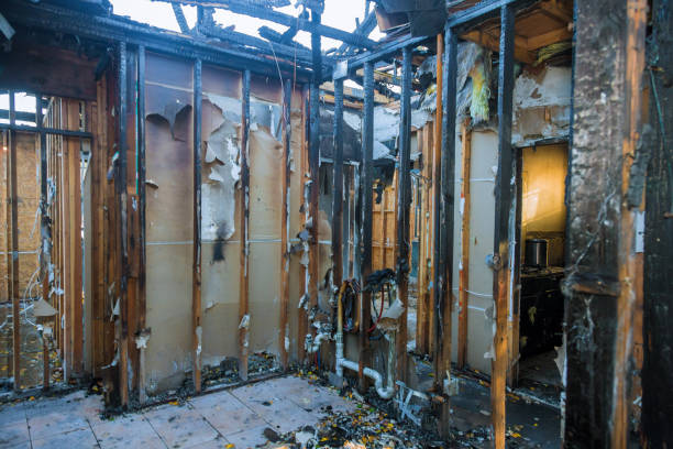 Professional Smoke Damage Removal technician working in Clifton, TX
